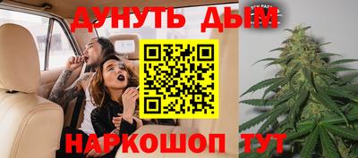 сатива Канаш