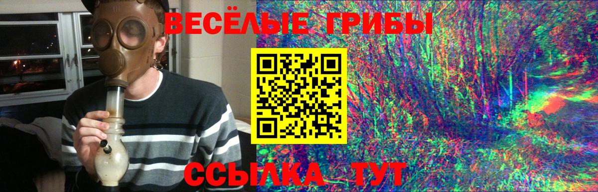 Галлюциногенные грибы прущие грибы Куйбышев